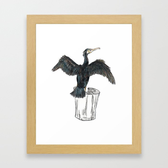 The Great Cormorant Framed Art Print