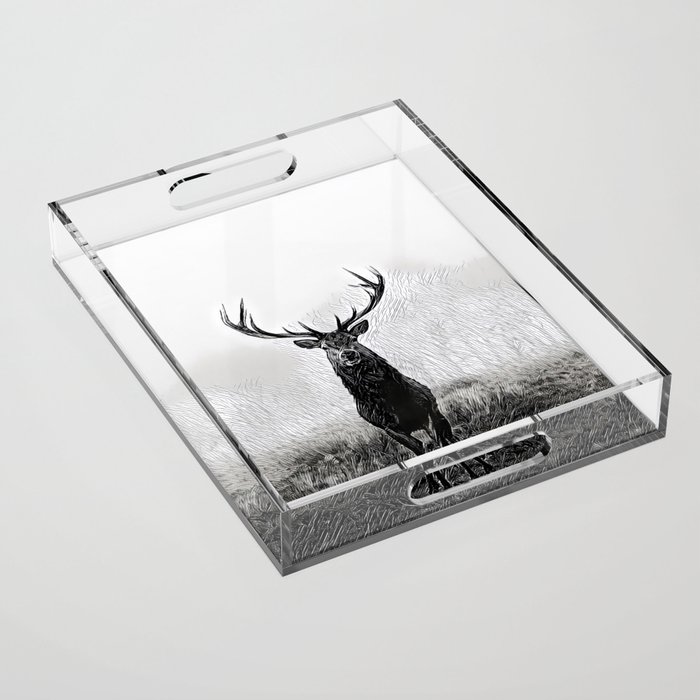 Horns Solo - Realistic Deer Drawing Acrylic Tray