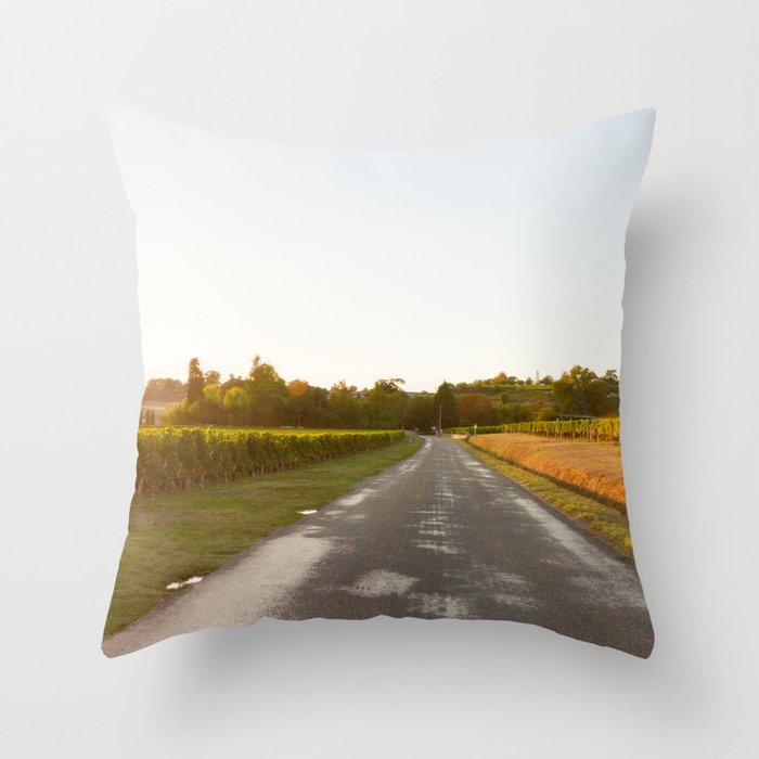Throw Pillow