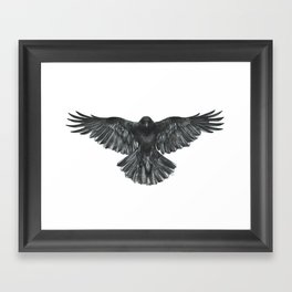 Crow in Flight Gerahmter Kunstdruck