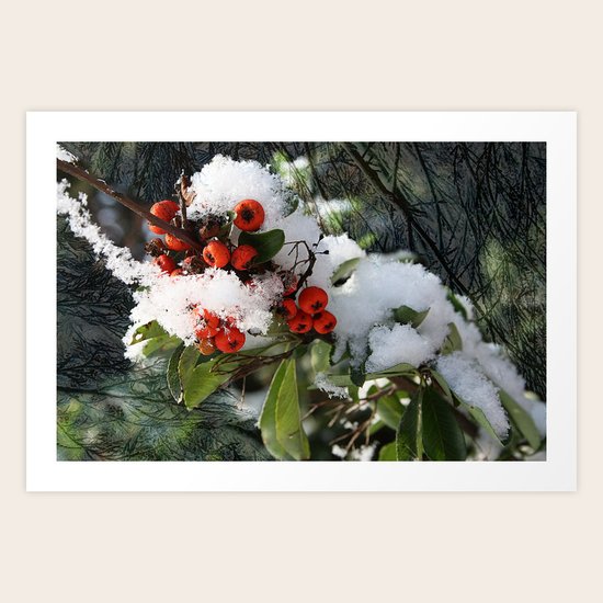 Winter Dream Art Print