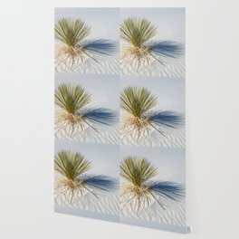 Soaptree Yucca Wallpaper