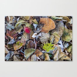 autumn blanket Canvas Print