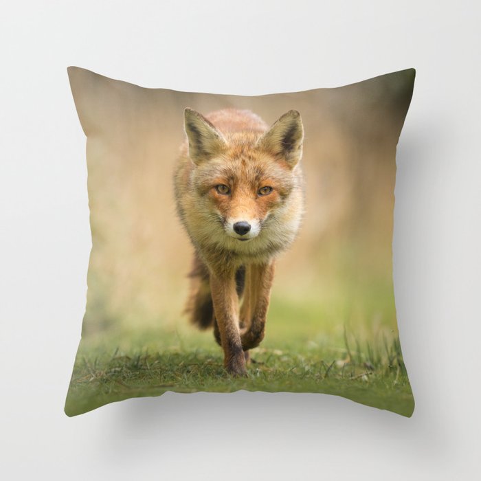 Walking Vixen Through Meadow Animal / Wildlife / Nature Photograph Throw Pillow and More
