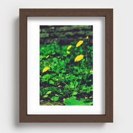 Dandelions from Rome Recessed Framed Print