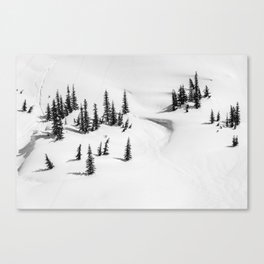AERIAL VIEW PHOTOGRAPHY OF SNOW Canvas Print