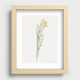 Chamisa Wildflower Recessed Framed Print