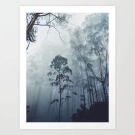 Misty Forest Art Prints Society6
