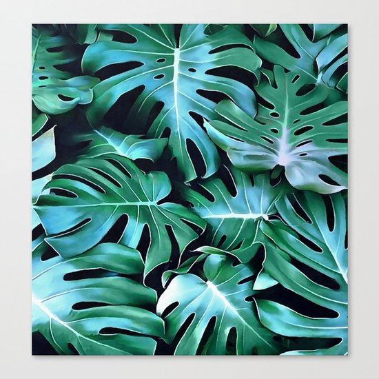 Monstera leaves Canvas Print