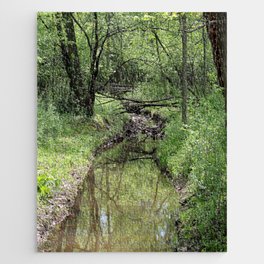 Spring Scene in the Woods Jigsaw Puzzle