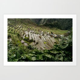 Rice terraces II, Philippines Art Print