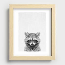 Baby Raccoon Recessed Framed Print