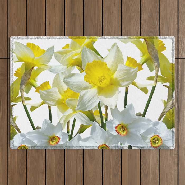 Yellow Daffodils And White Narcissi Isolated On White Outdoor Rug