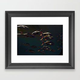 Fish - Underwater Framed Art Print