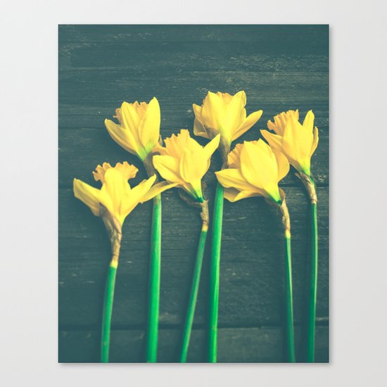 Happiness Canvas Print