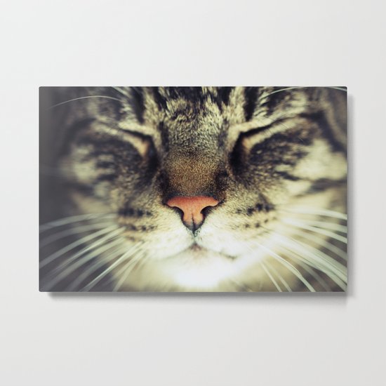 Meow Metal Print