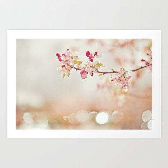 Cherry Blossom Art Print
