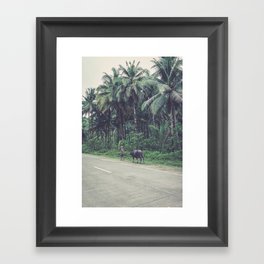 Man walking with cow, Siargao Philippines | travel photography Framed Art Print