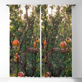 Pomengrenate Tree in Greece | Vintage Vibe Warm Colored Fine Art Photograph | Europe Summer on the Greek Islands Blackout Curtain