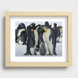 Funny penguin family. Recessed Framed Print