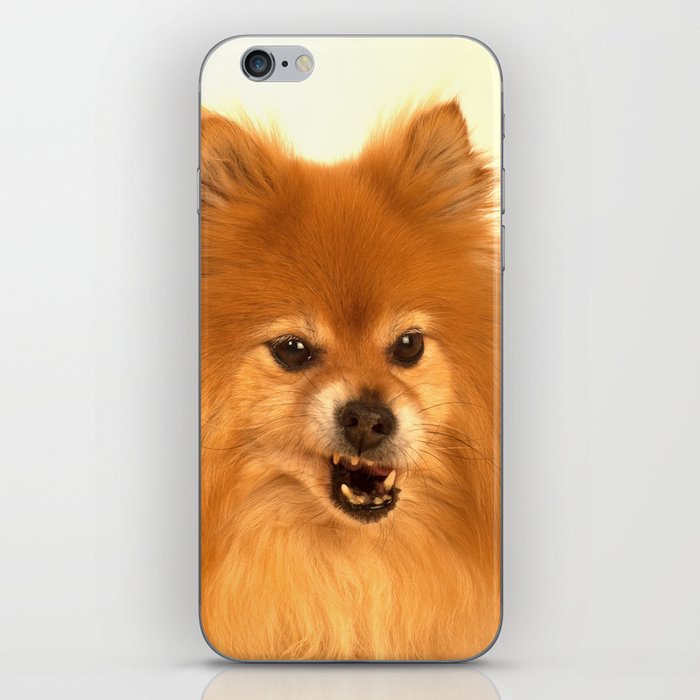 Angry Pomeranian dog iPhone Skin