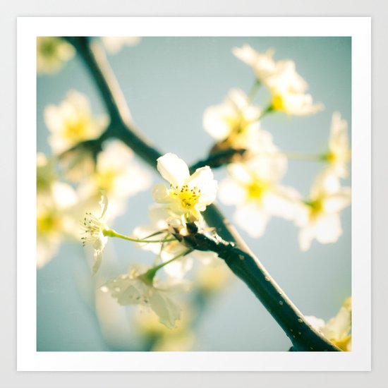 Yellow Art Print