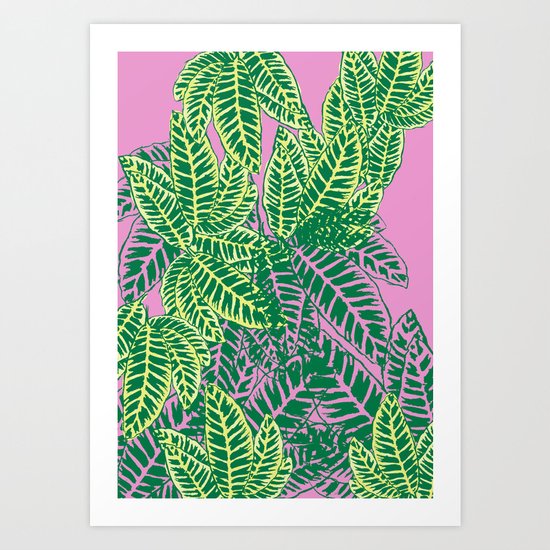 Zebra Plant Art Print