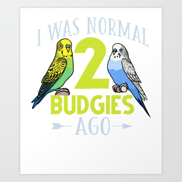 Parakeet Bird Budgie Cage Training Care Art Print