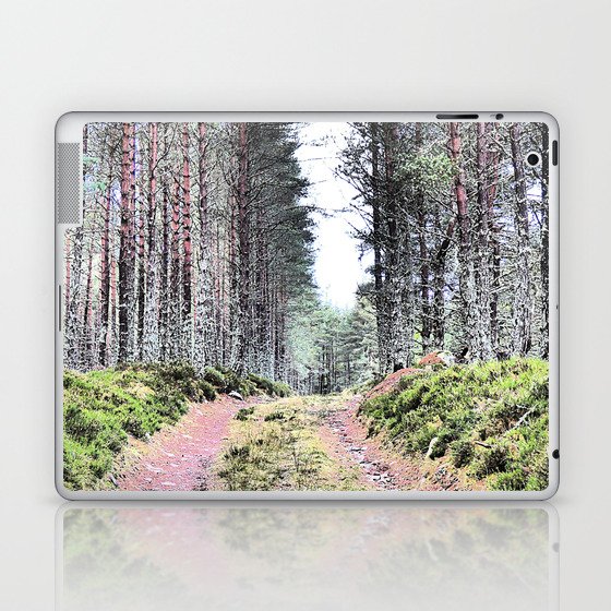 A Winter's Walk in I Art and Afterglow Laptop & iPad Skin
