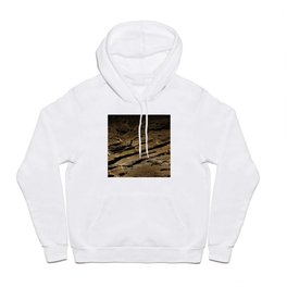 New York map Hoody