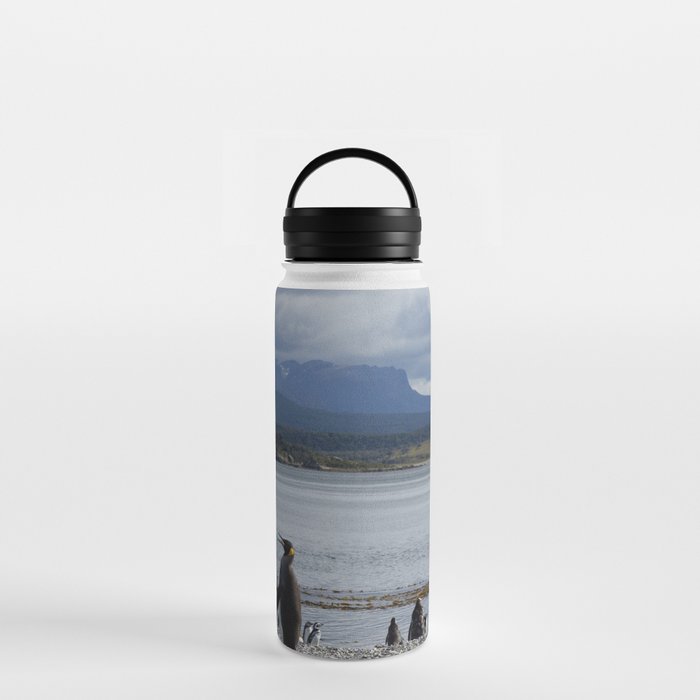 Argentina Photography - Herd Of Penguins Enjoying The Beach Water Bottle
