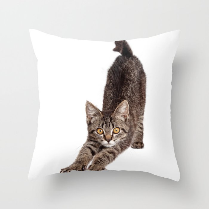 Beautiful cat picture Throw Pillow