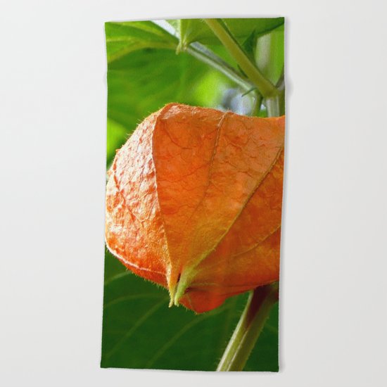 Physalis II Beach Towel