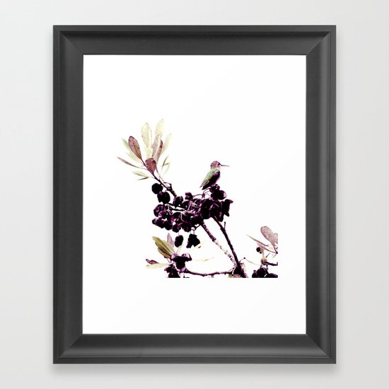 Hummingbird Framed Art Print