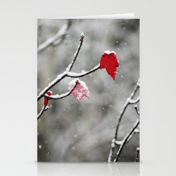 Last Leaf of Fall Stationery Cards