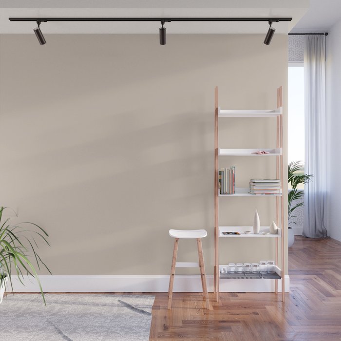 Renewed Off White Solid Color Accent Shade Matches Sherwin