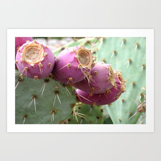 Feast Art Print