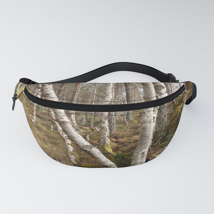 Birch and Pine Trees Growing Together in a Scottish Highlands Forest   Fanny Pack