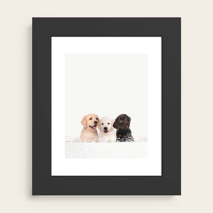 Framed Art Print