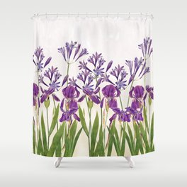 Purple Iris flowers Shower Curtain