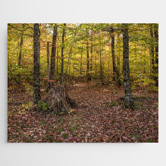 Fall woods Jigsaw Puzzle
