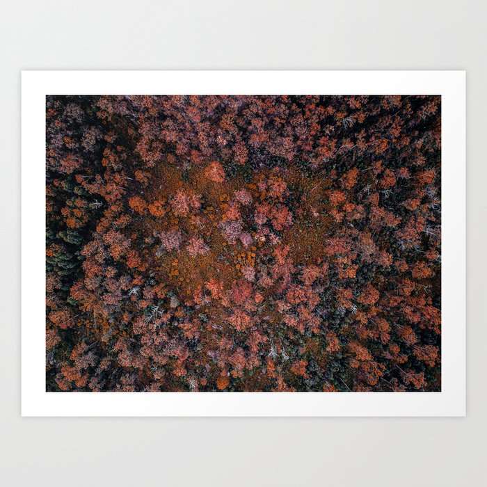 Autumn Colours Art Print