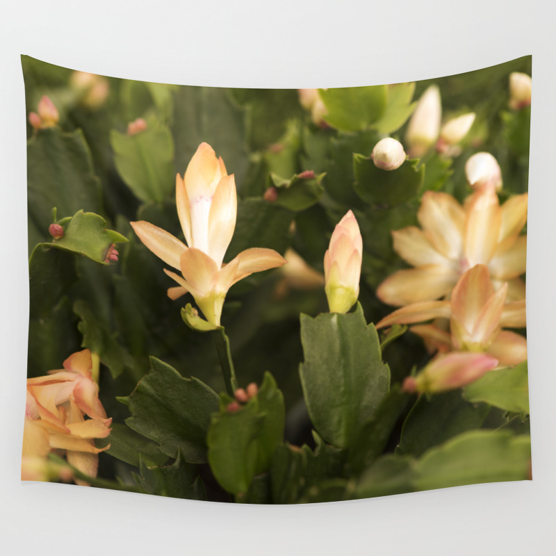 Christmas Cactus Buds And Blooms Wall Tapestry By Floatingpetals Society6
