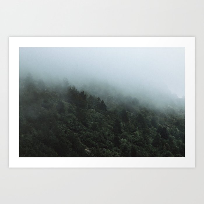 Woods | Nature & Landscape Photography Art Print