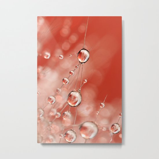 Cactus Rose Drops Metal Print
