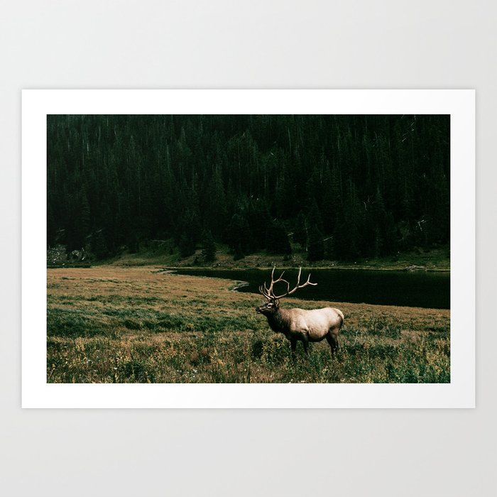 Art Print