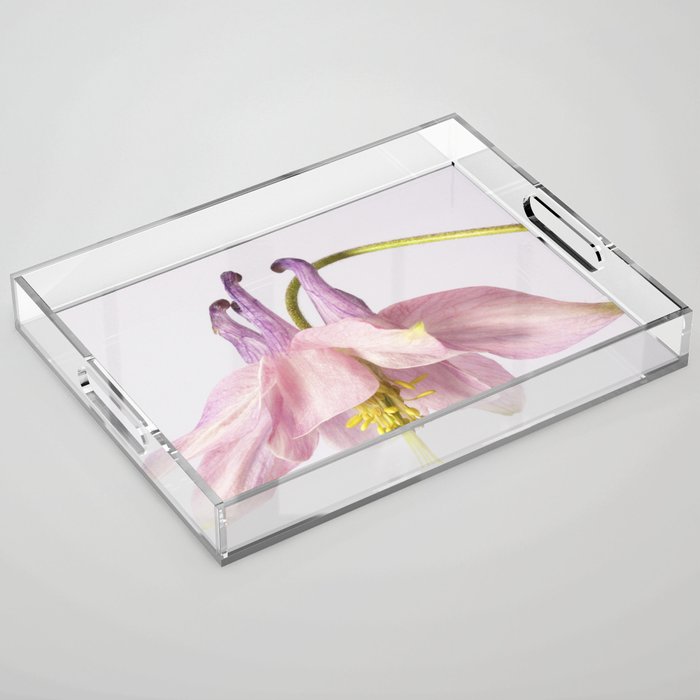 Pink Orchid Acrylic Tray