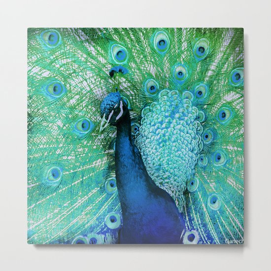 Peacock 2 Metal Print
