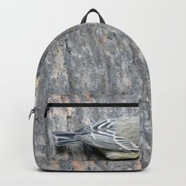 TEXTURES -- Warbler on Palm Bark Backpack