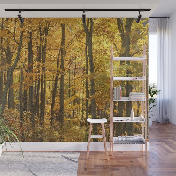Yellow Woods NC, Fine Art Landscape Photo Wall Mural